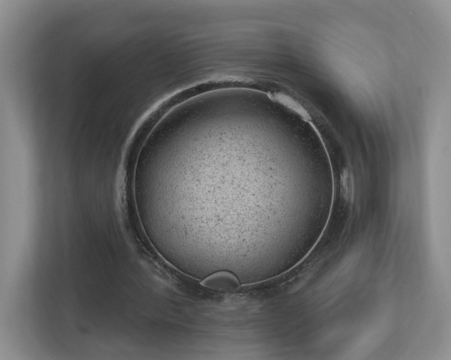 X0000112920388200908241230
