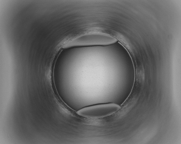 X0000112920389200908241230