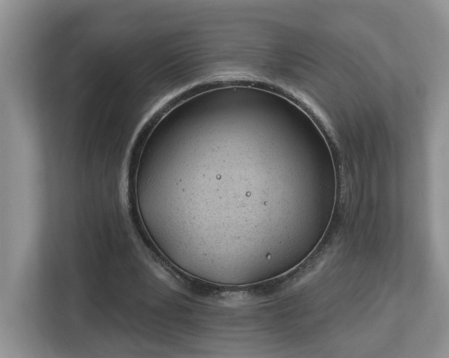 X0000112920391200908241230