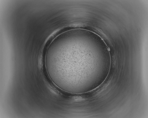 X0000112920392200908241230