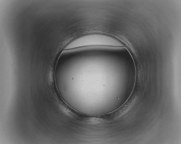 X0000112920393200908241230