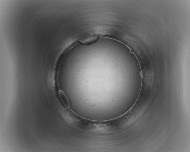 X0000112920395200908241230