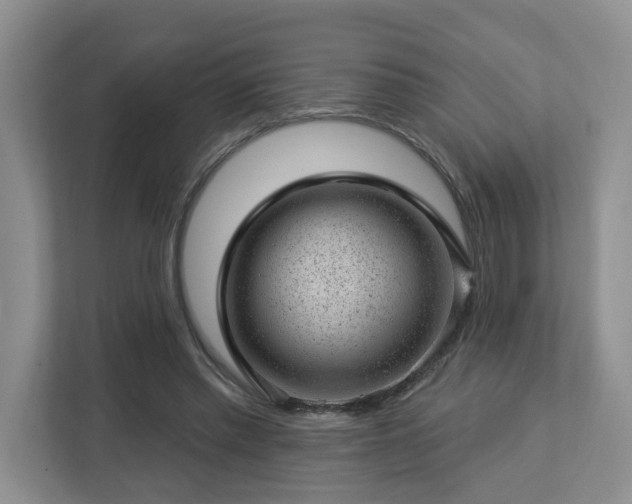 X0000112920397200908241230