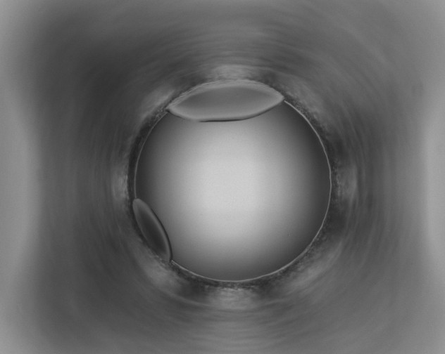 X0000112920399200908241230
