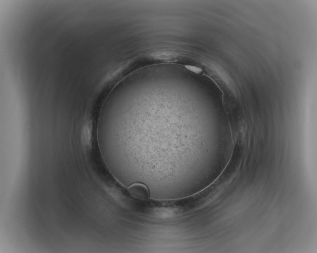 X0000112920404200908241230