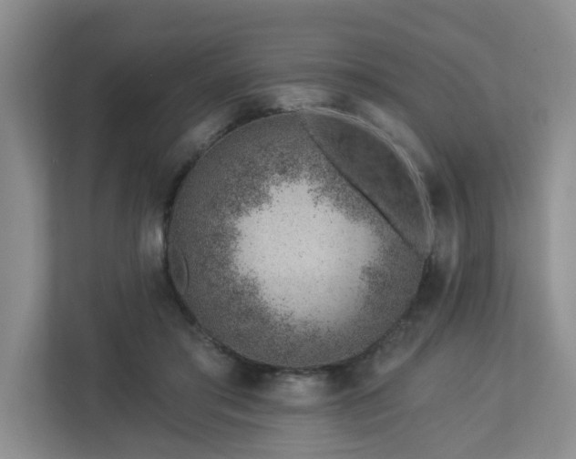 X0000112920405200908241230