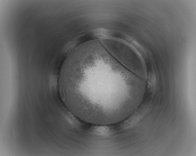 X0000112920409200908241230