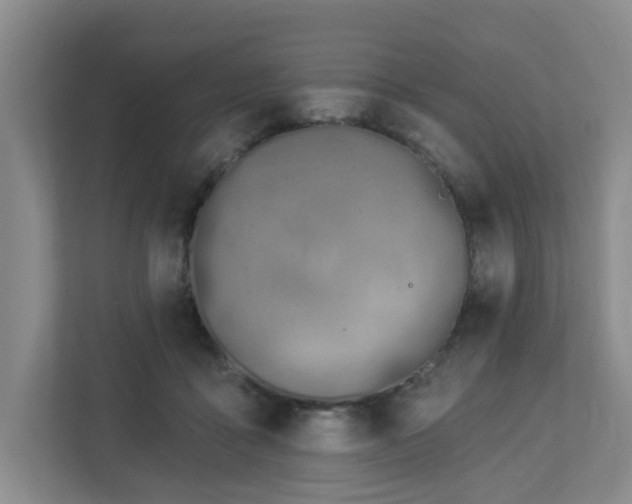 X0000112920411200908241230