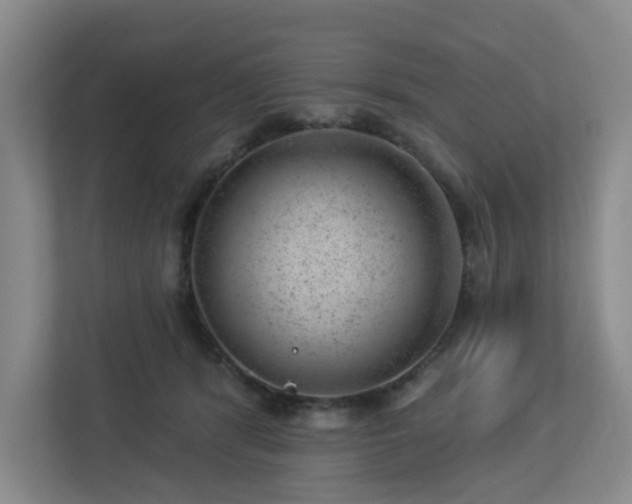 X0000112920416200908241230