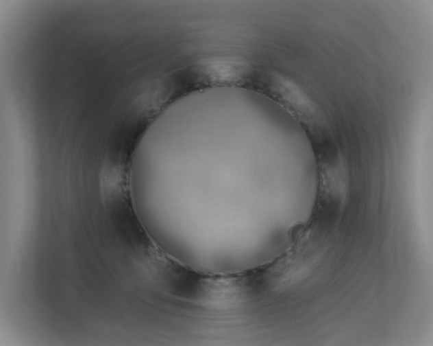 X0000112920419200908241230