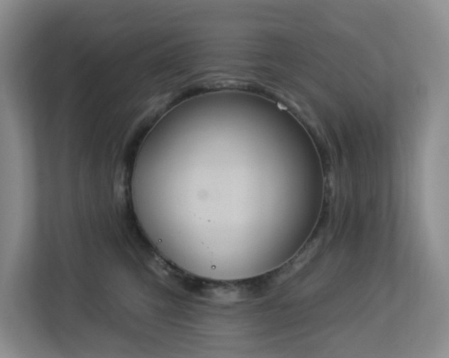 X0000112920423200908241230