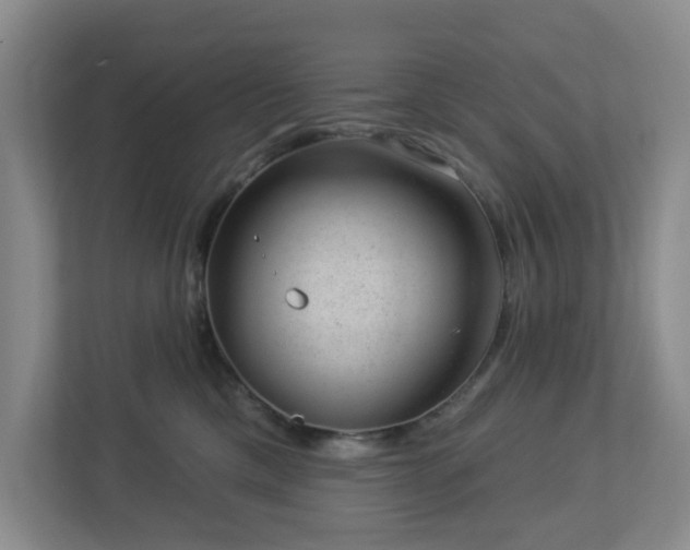 X0000112920425200908241230