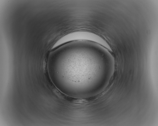 X0000112920427200908241230