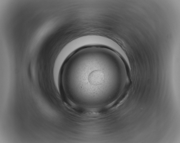 X0000112920429200908241230