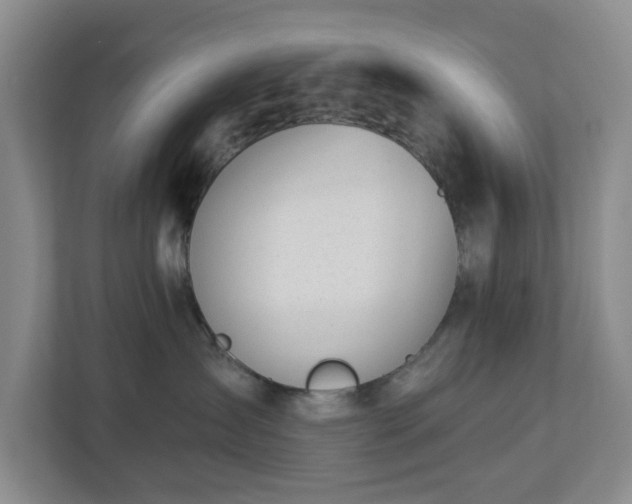 X0000112920431200908241230