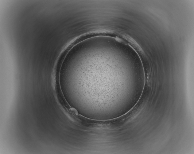 X0000112920436200908241229