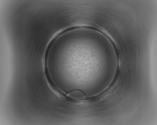 X0000112920438200908241229