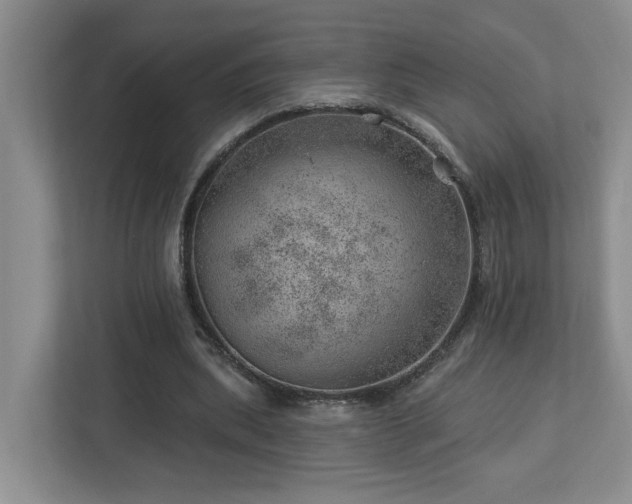 X0000112920439200908241229