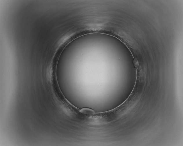 X0000112920440200908241229