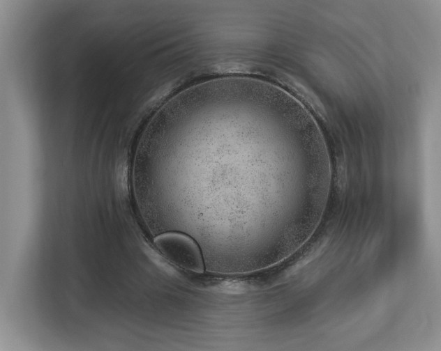 X0000112920441200908241229