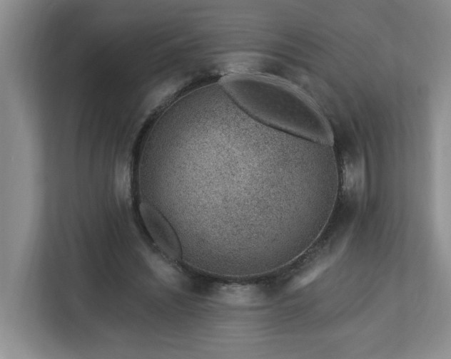 X0000112920444200908241229