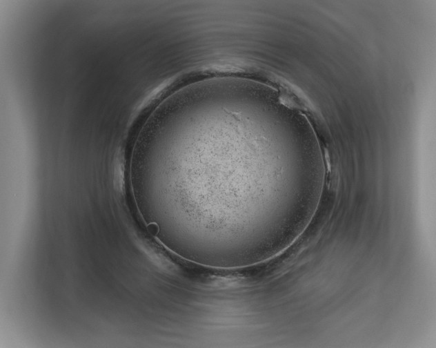 X0000112920446200908241229