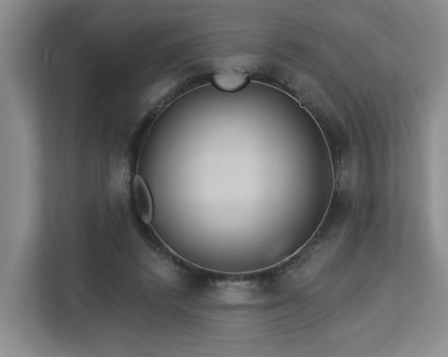X0000112920448200908241229