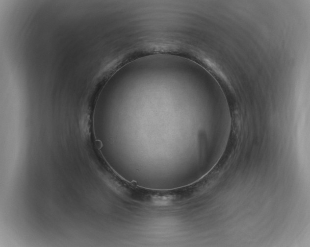 X0000112920450200908241229