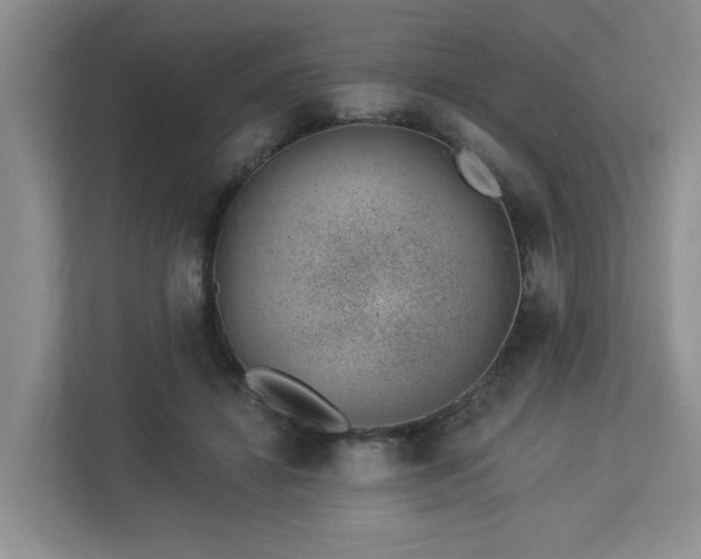 X0000112920452200908241229