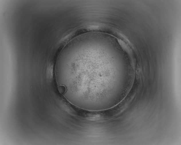 X0000112920454200908241229