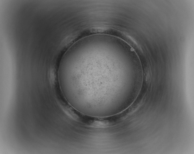 X0000112920455200908241229