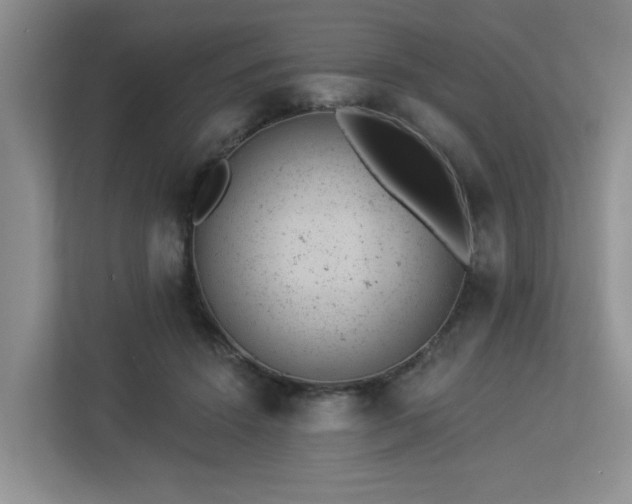 X0000112920456200908241229