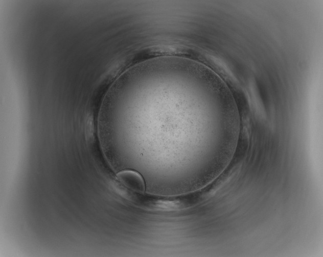 X0000112920457200908241229