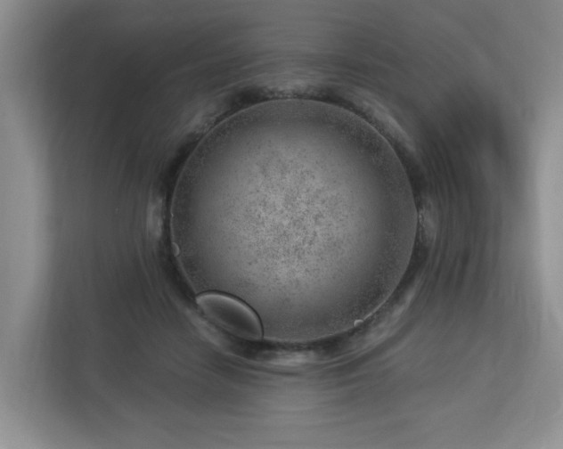 X0000112920458200908241229
