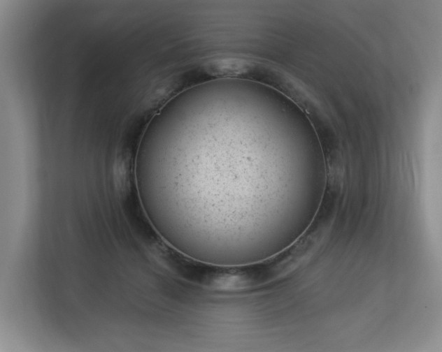 X0000112920460200908241229