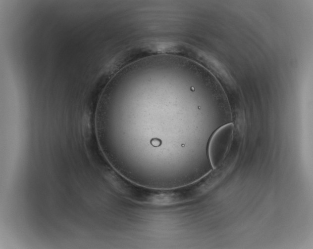 X0000112920461200908241229