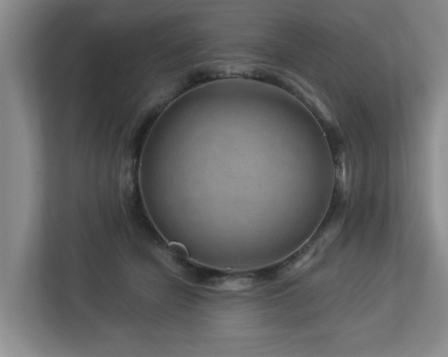 X0000112920462200908241229