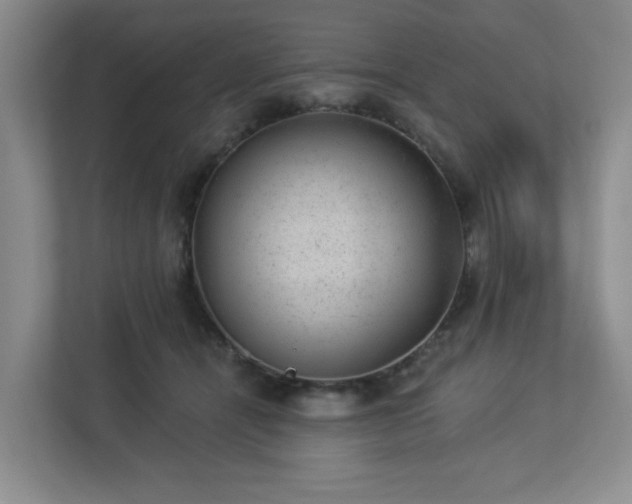 X0000112920464200908241229