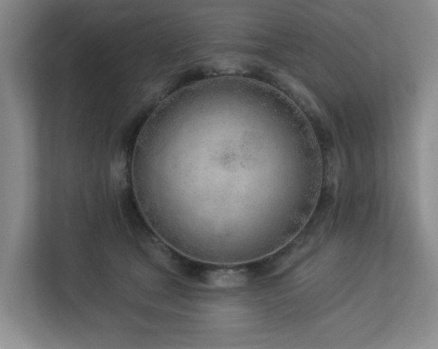 X0000112920465200908241229