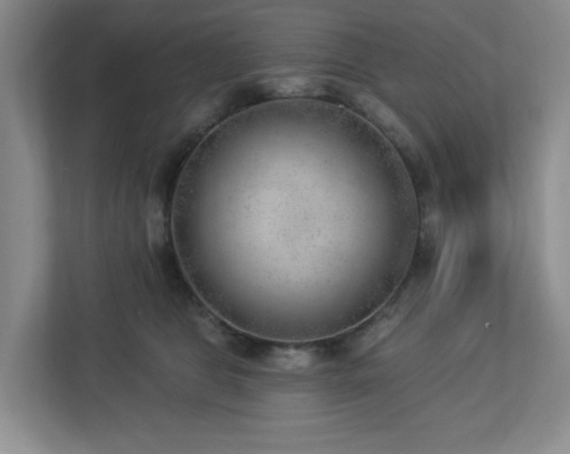 X0000112920469200908241230