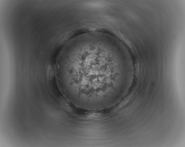 X0000112920471200908241230