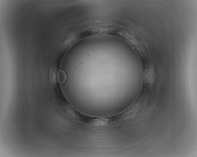 X0000112920474200908241230