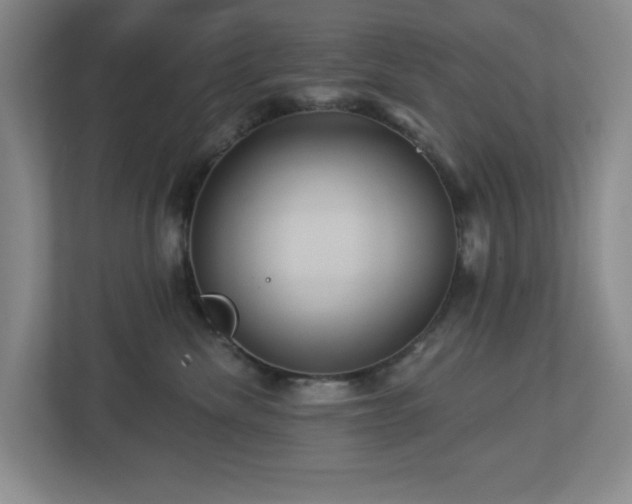 X0000112920476200908241230
