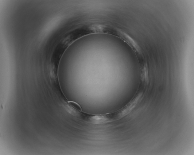 X0000112920477200908241230