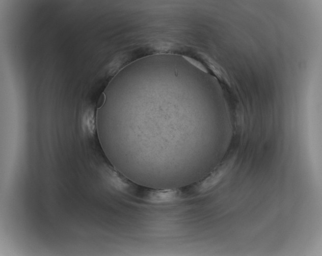 X0000112920479200908241230