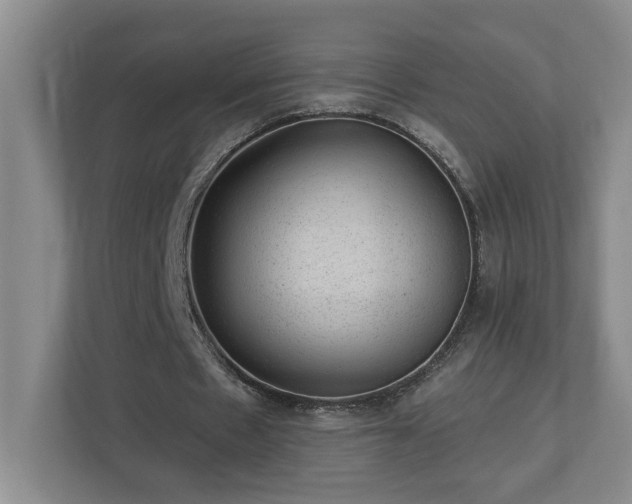 X0000112920481200908241229