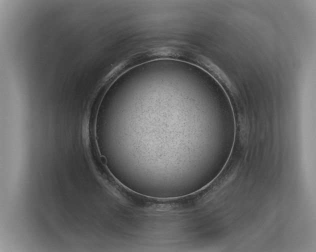X0000112920482200908241229