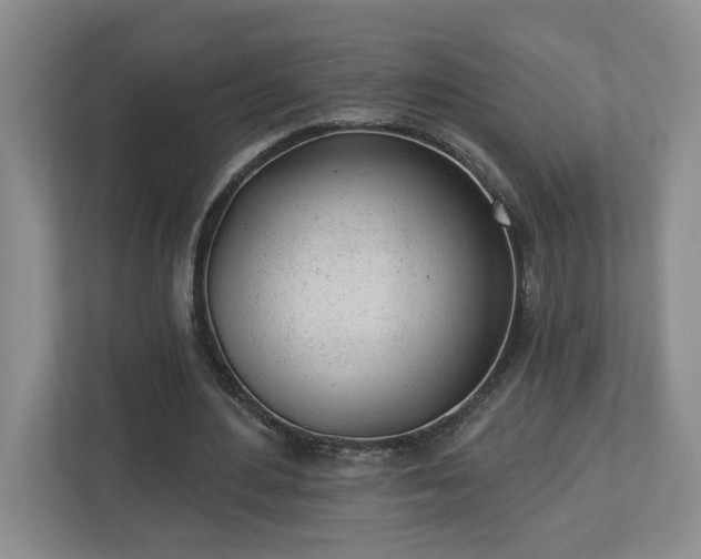 X0000112920484200908241229