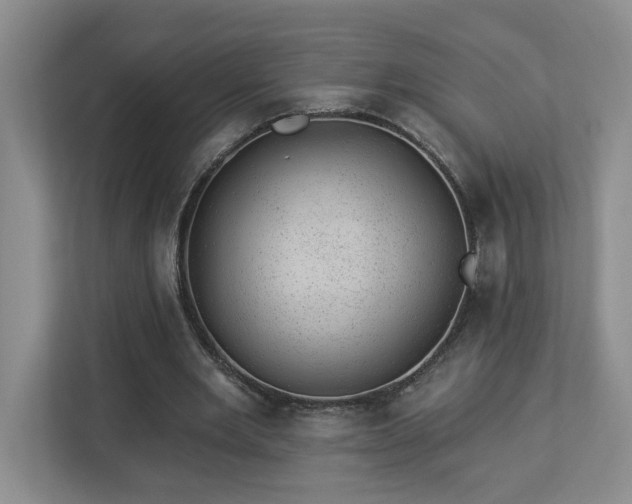 X0000112920485200908241229