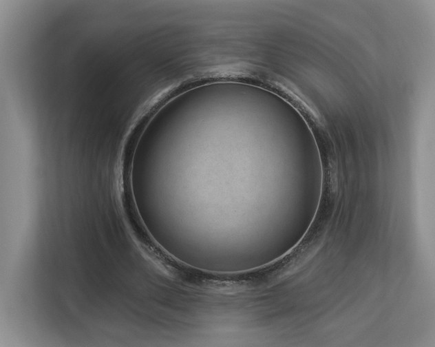 X0000112920486200908241229